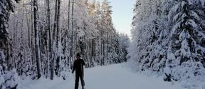Student James Roney cross-country skiing