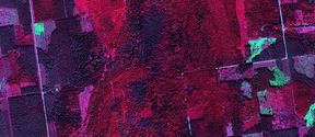 A satellite picture of the forest, with pink, violet and green colours