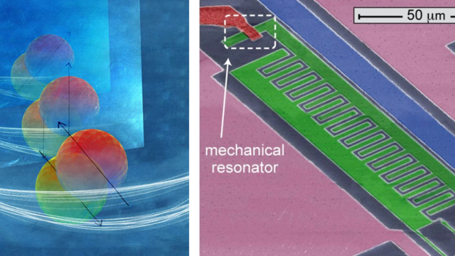 transmon qubit and bridge resonator.